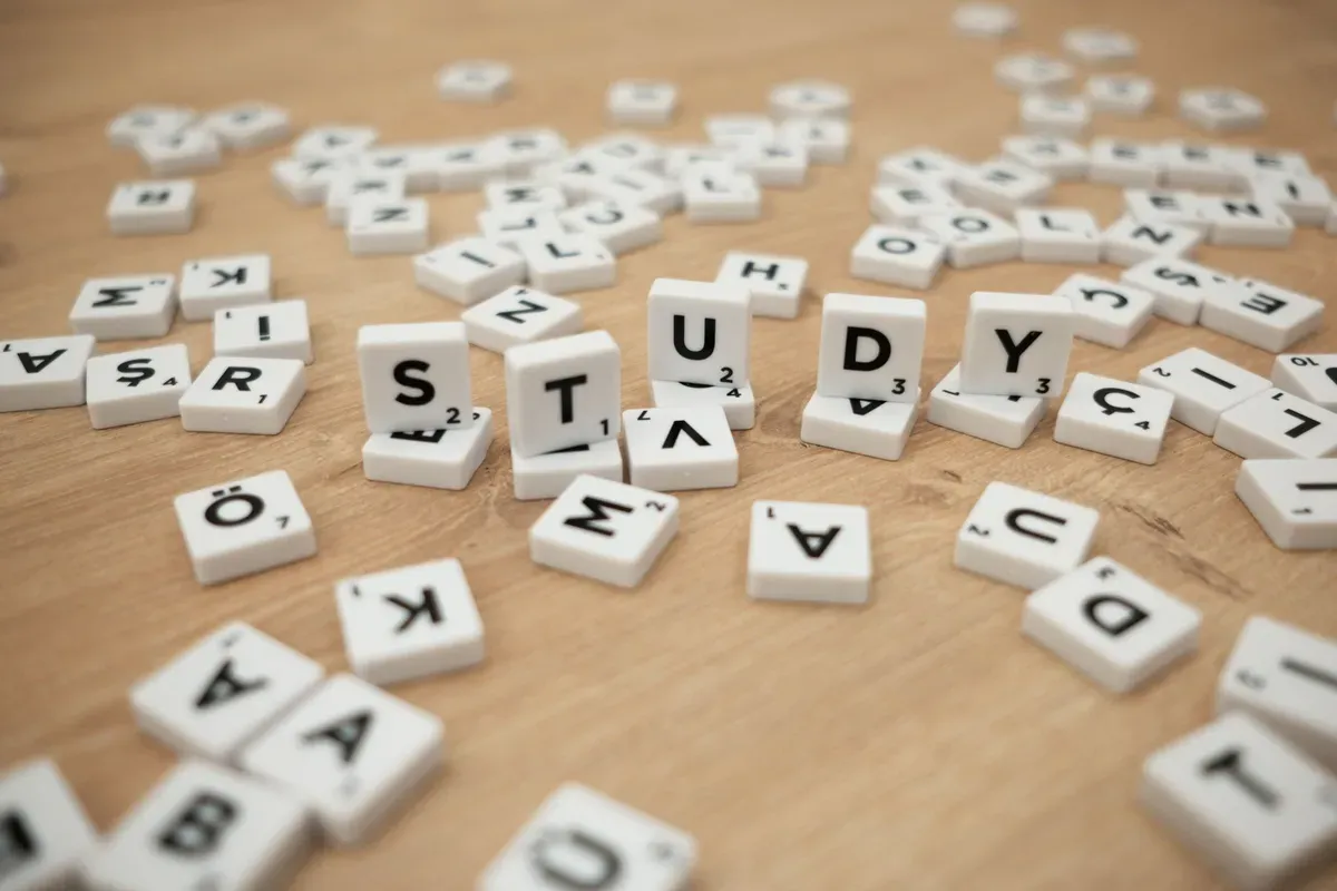 French Adjective Placement: Before or After the Noun?